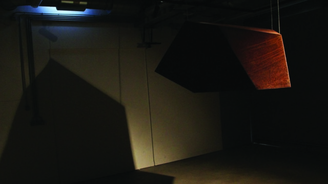 Iga Martin "OBSZARY OCHRONNE. O potrzebie poszukiwania i kontrolowania dzikiej natury w epoce postprzyrody w kontekście współczesnej rzeźby i działań przestrzennych."