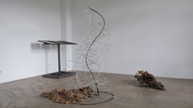 Paulina Motyl "Metamorfozy cielesności. O przenikaniu warstw materii"