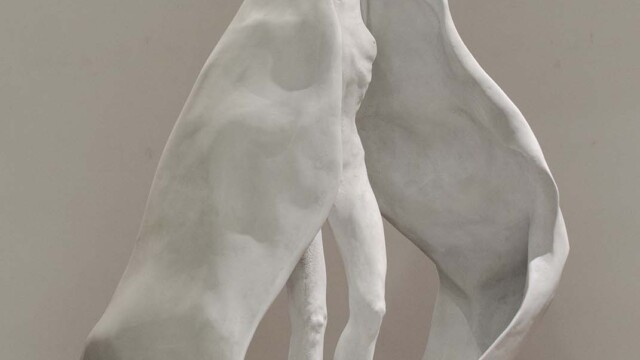 Aleksandra Pokojewska "(Nie)Wolność. Uwidocznienie traumy w dziele artystycznym"