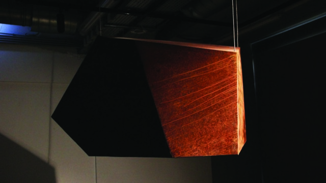 Iga Martin "OBSZARY OCHRONNE. O potrzebie poszukiwania i kontrolowania dzikiej natury w epoce postprzyrody w kontekście współczesnej rzeźby i działań przestrzennych."