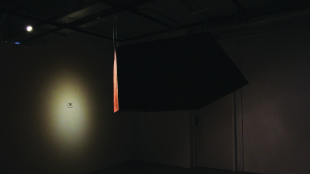 Iga Martin "OBSZARY OCHRONNE. O potrzebie poszukiwania i kontrolowania dzikiej natury w epoce postprzyrody w kontekście współczesnej rzeźby i działań przestrzennych."