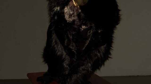 Mikołaj Thiel "Matka i Małpa. Pozorna dychotomia pochodzenia człowieka"