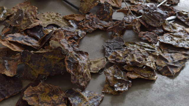 Paulina Motyl "Metamorfozy cielesności. O przenikaniu warstw materii"