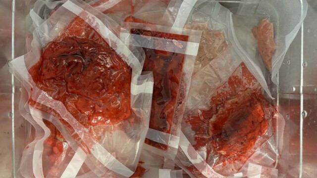 Julia Osika "Zestaw dla kanibala. Analiza problemu dosłowności i metaforyczności przedstawień kanibalizmu w kulturze artystycznej na podstawie konkretnych przykładów"