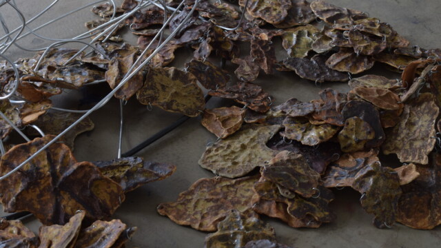 Paulina Motyl "Metamorfozy cielesności. O przenikaniu warstw materii"