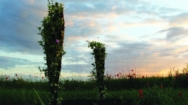 Iga Martin "OBSZARY OCHRONNE. O potrzebie poszukiwania i kontrolowania dzikiej natury w epoce postprzyrody w kontekście współczesnej rzeźby i działań przestrzennych."