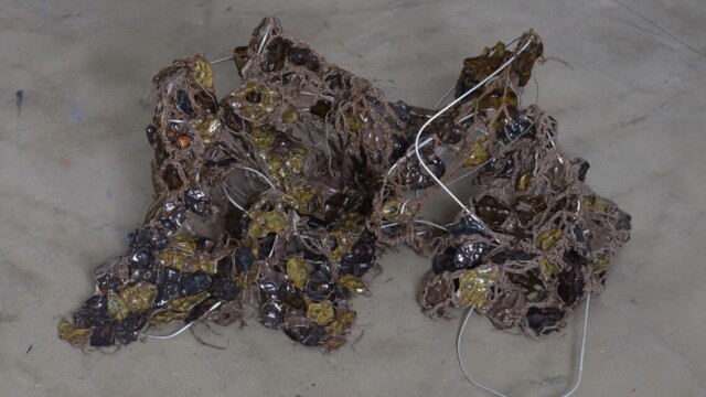 Paulina Motyl "Metamorfozy cielesności. O przenikaniu warstw materii"