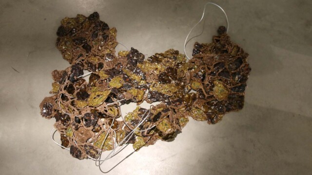 Paulina Motyl "Metamorfozy cielesności. O przenikaniu warstw materii"