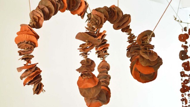 Magdalena Czapiewska "Masa piękna, piękno w masie."