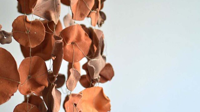 Magdalena Czapiewska "Masa piękna, piękno w masie."